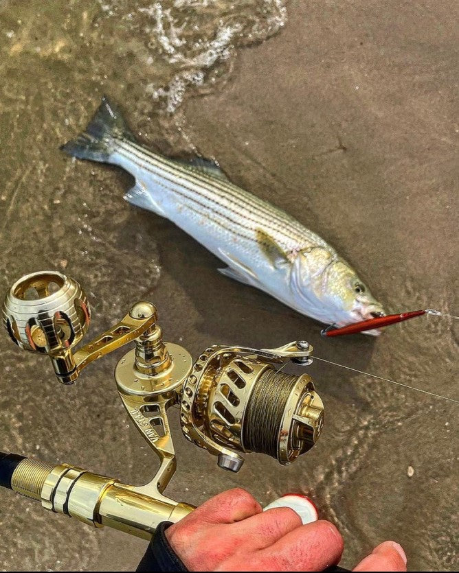 best van staal reel for surf fishing VSX2 Bail-less Spinning the X2 includes key improvements from top to bottom Revisin del carrete de surf